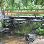 Bachlauf im Wald bei Niedrigwasser (August 2003)