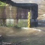 05.01. 10:02 Uhr - Lattenpegel Hugstetten - Pegel Ebnet: 139 cm