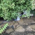 Allerletzte Reste der weien Farbe laufen hier in den Bach