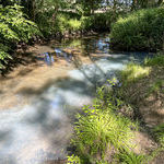 Verschmutzung Eichmattenbach, Am Zufluss in den Schopbach. Bildquelle: Stefan Berger, Feuerwehr March