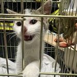 Bildquelle: Stefan Berger, Feuerwehr March