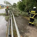 Bildquelle: Daniel Kreuz, Feuerwehr March