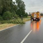 Bildquelle: Daniel Kreuz, Feuerwehr March