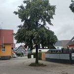 Bildquelle: Patrick Schweizer