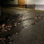 Bildquelle: Patrick Gutmann, Feuerwehr March