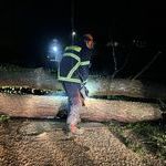 Bildquelle: Patrick Gutmann, Feuerwehr March