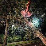 Bildquelle: Fabian Lorey, Feuerwehr March