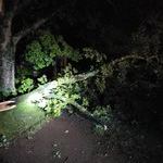 Bildquelle: Fabian Lorey, Feuerwehr March