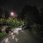 Bildquelle: Fabian Lorey, Feuerwehr March