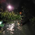 Bildquelle: Fabian Lorey, Feuerwehr March