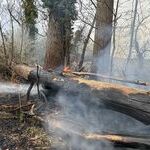 Bildquelle: Stefan Berger, Feuerwehr March