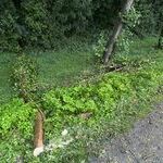 Bildquelle: Stefan Berger, Feuerwehr March