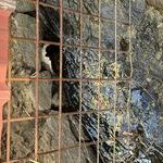 Bildquelle: Stefan Berger (Feuerwehr March)